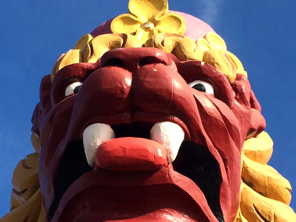Lion image flagship