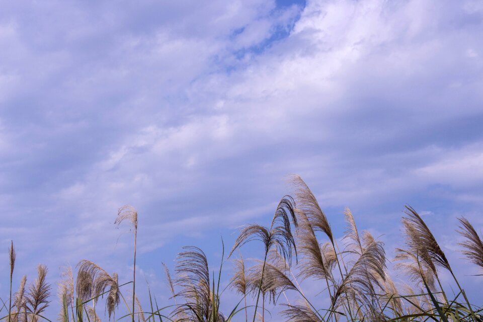 Sky cloud the scenery