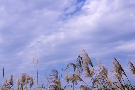 Sky cloud the scenery