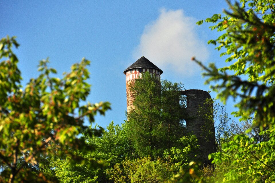 Castle hall trees thuringia germany