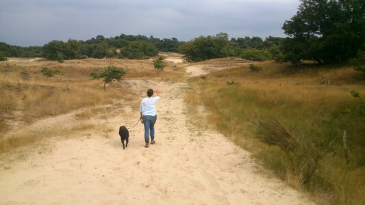 Landscape walking path walk