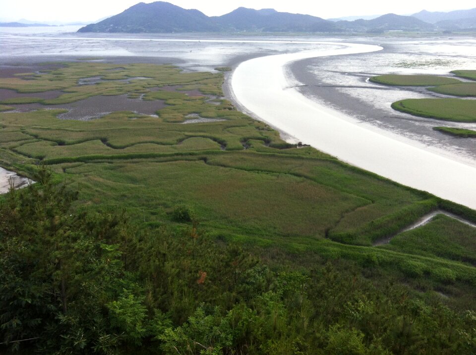 Suncheon bay seaway tidal