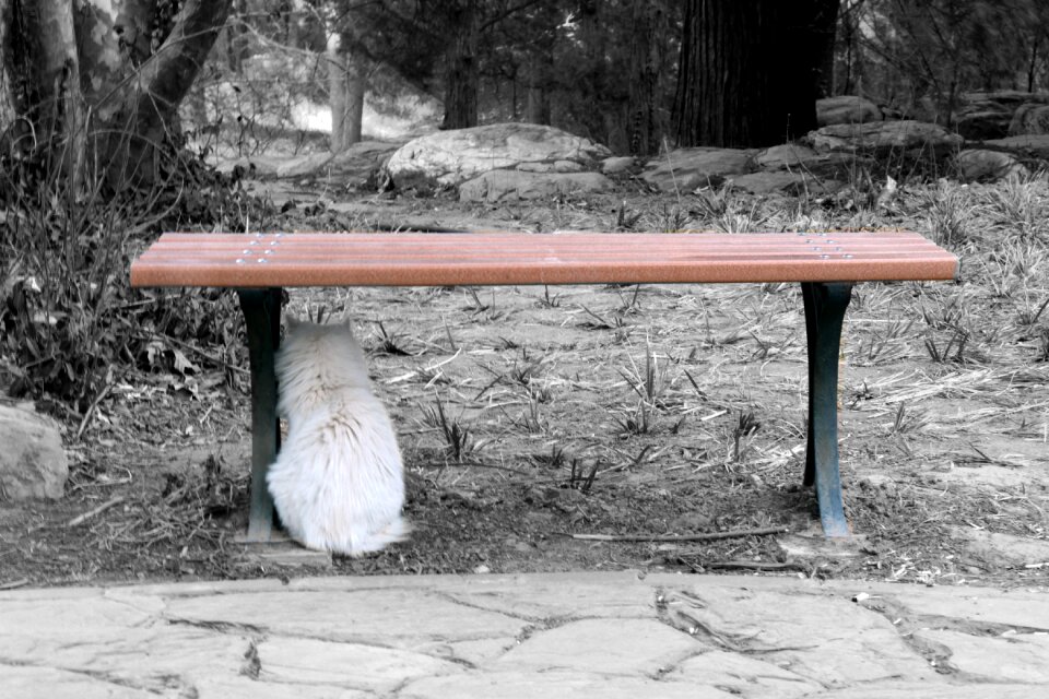 Monochrome campus lonely