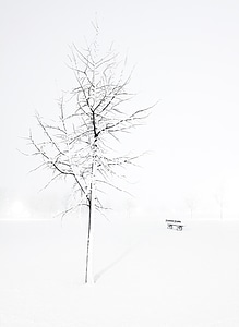 Snowflake cold freezing