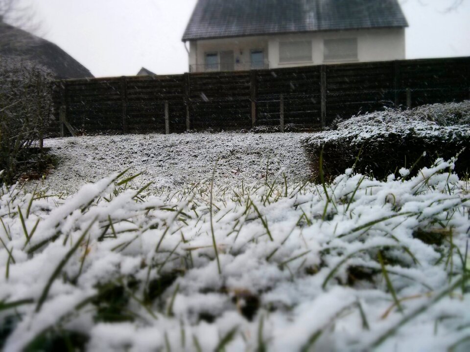 Cold white december