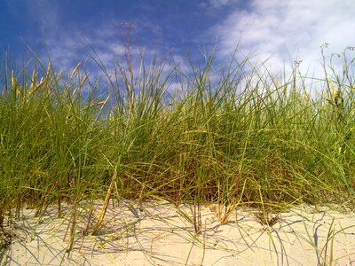 Gotland sweden summer photo