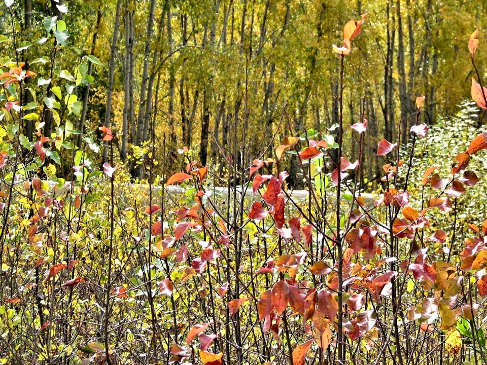 Ontario canada outdoors