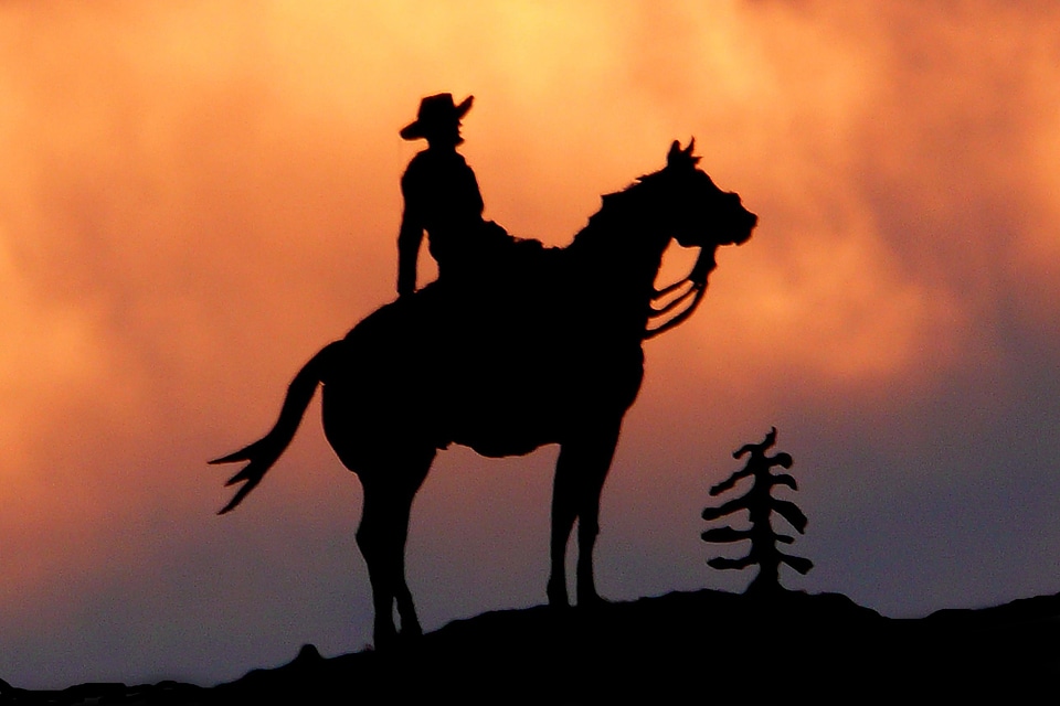Metal silhouette horses animal