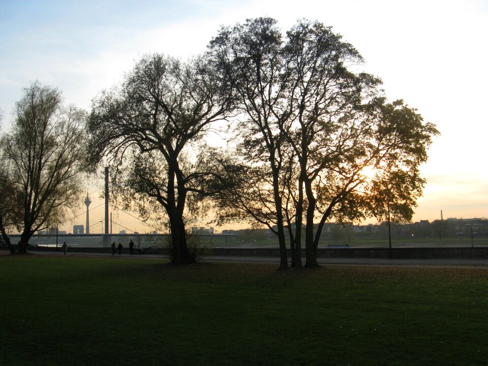 Nature rhine düsseldorf