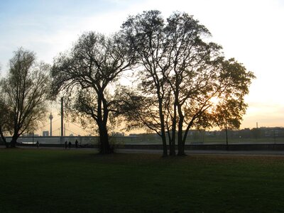 Nature rhine düsseldorf