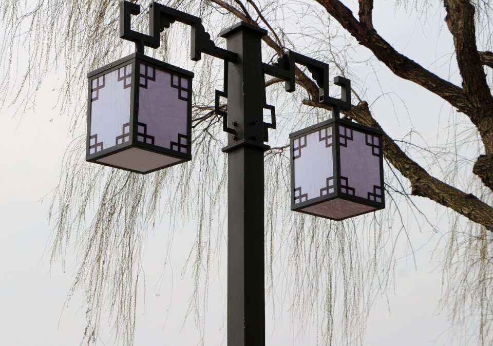 Street lamp wicker withered