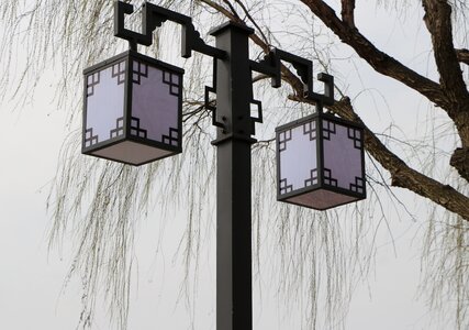 Street lamp wicker withered