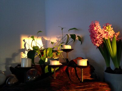 Light effect log candlestick photo