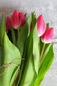 Pictures of flowers mother march 8