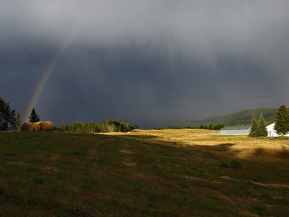 Landscape farm summer