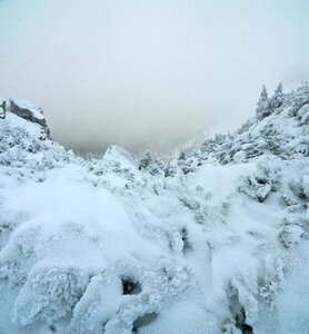 Cold white frost