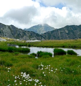 Summer nature landscape