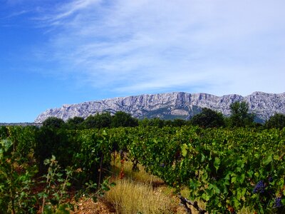 Nature sainte-victoire landscape