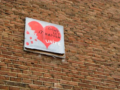 Heart wall