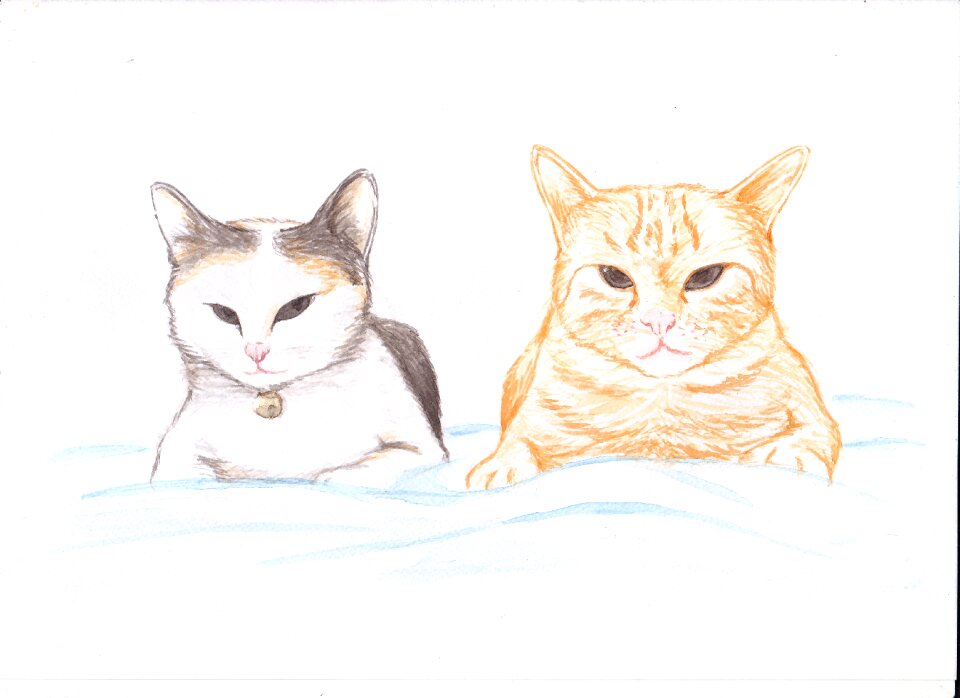 Painting ginger pair