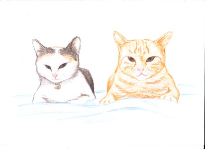 Painting ginger pair