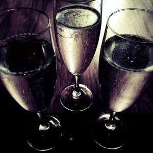 Wine champagne fest