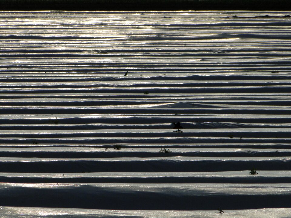 Landscape abstract slide
