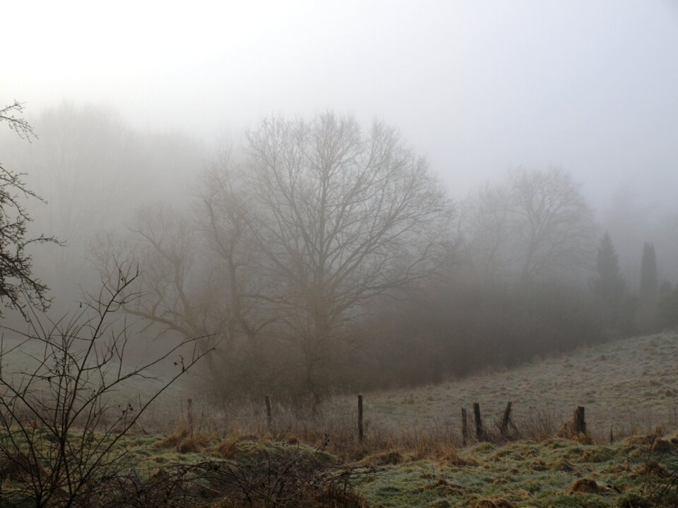 Mood landscape meadow photo