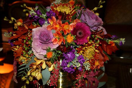Color amphora nature