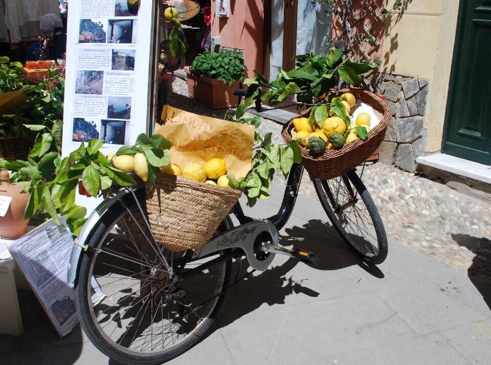 Summer lifestyle transport