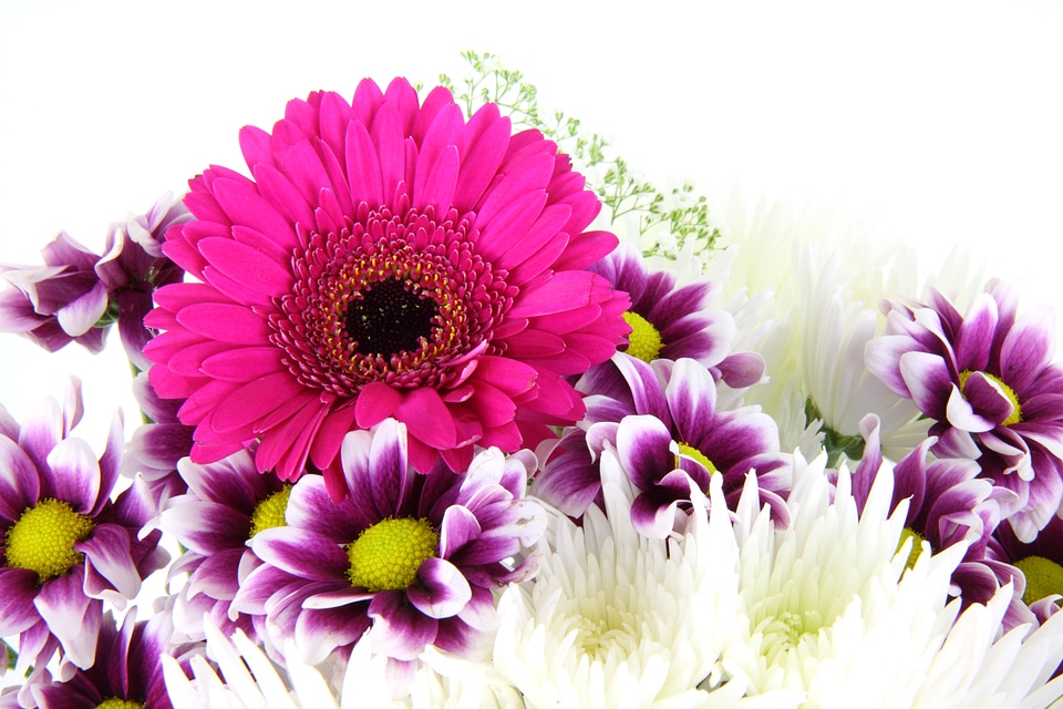 Blossom bouquet bunch
