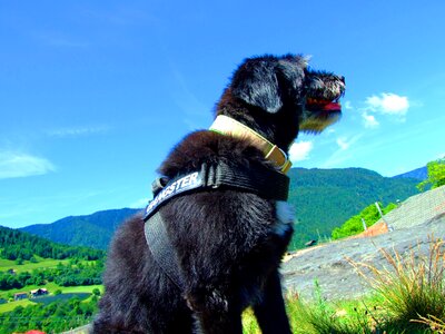 Mountains south tyrol hiking