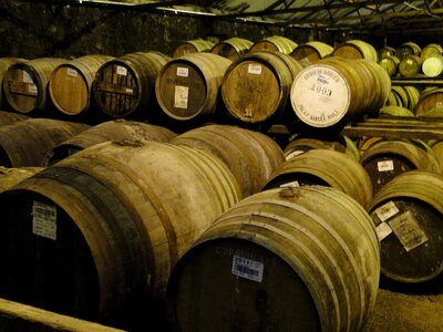 Wooden barrels keller stock photo