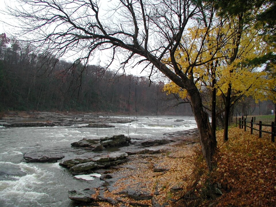River nature