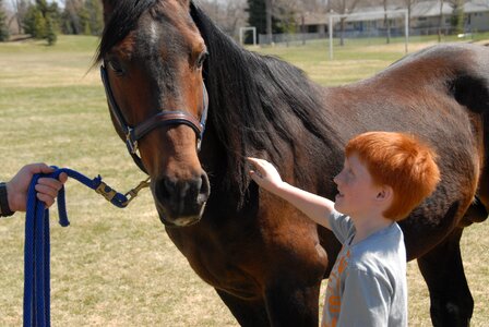 Animal people brown education