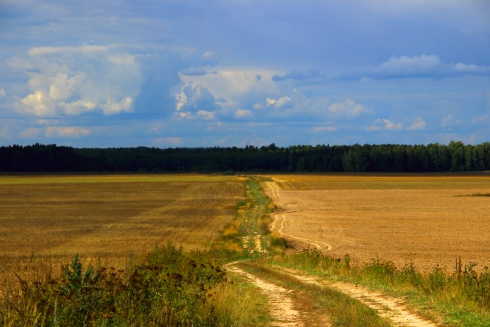 Landscape photo village