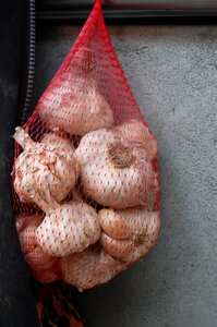 Garlic vegetable food