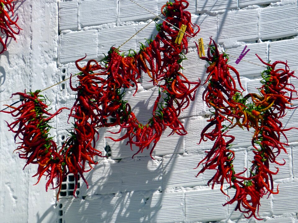 Drying sun food photo