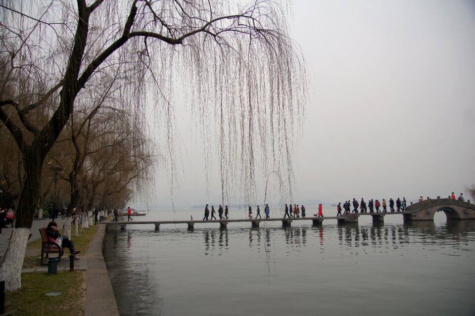Lake view weeping willow west lake