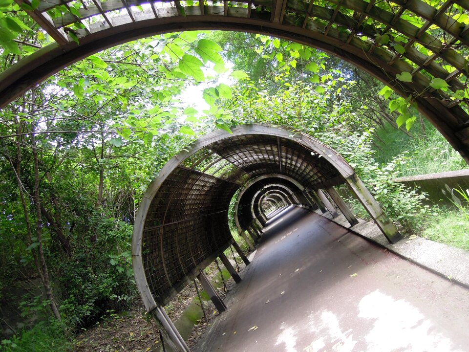 Green gallery summer the green corridor