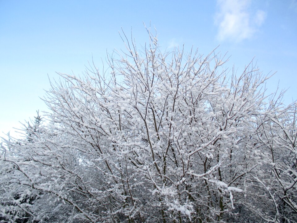 Clearances winter poland