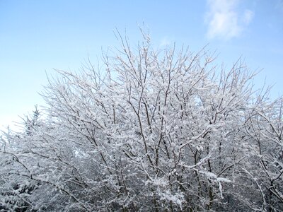 Clearances winter poland