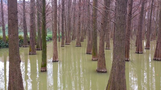 Water fir lake the outskirts