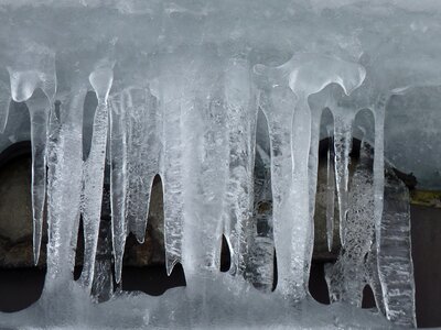 Cold frozen on frozen photo