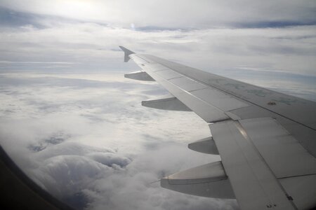 Wing travel plane photo