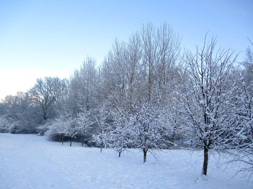 Snow landscape nature