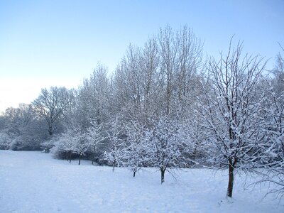 Snow landscape nature