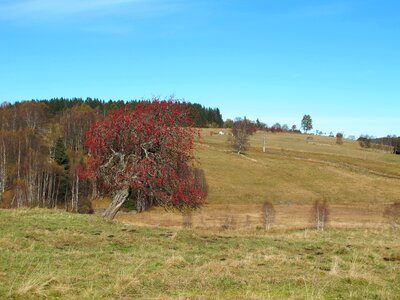 View landscape autumn