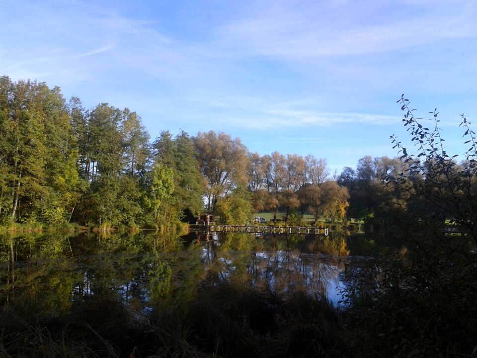 Nature lake mirrored trees