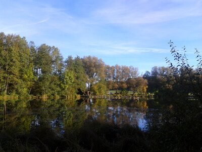 Nature lake mirrored trees